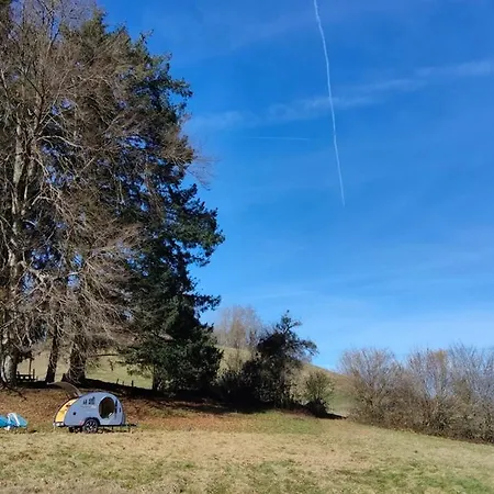 Monchateau Etoile, Insolite Avec * Merlas
