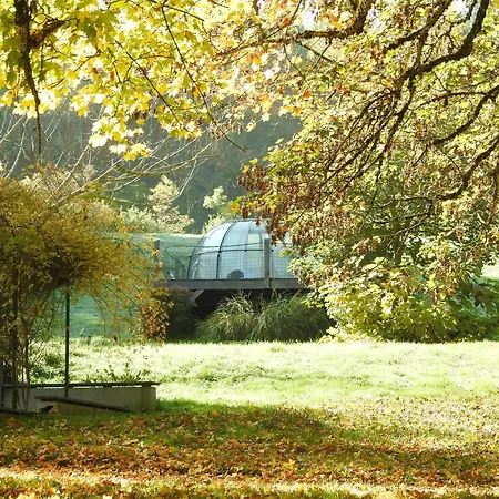 Monchateau Etoile, Insolite Avec